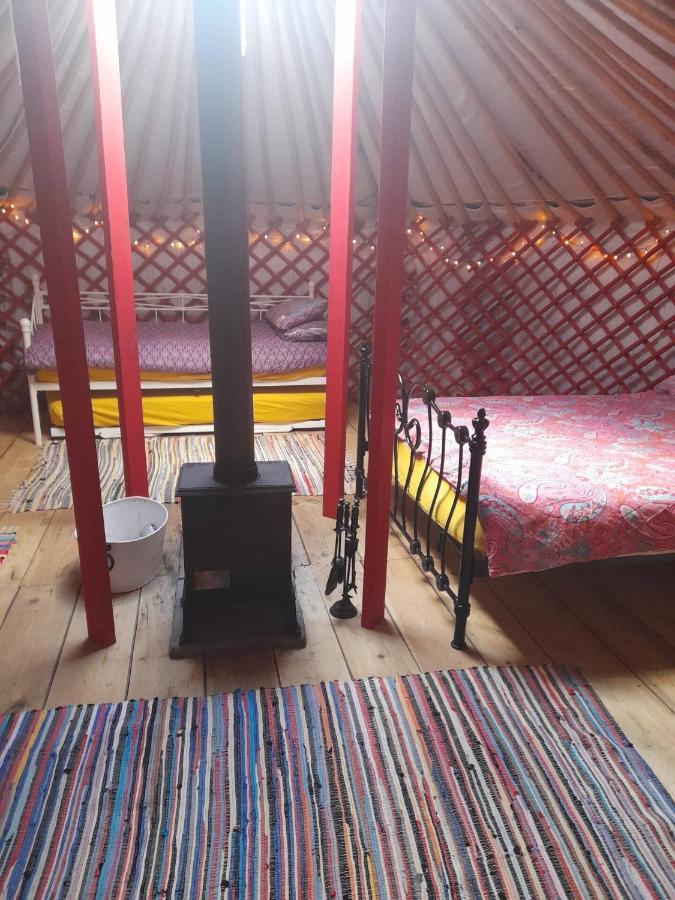 Alder Yurt Wych Elm Glamping Hotel Helston Ngoại thất bức ảnh