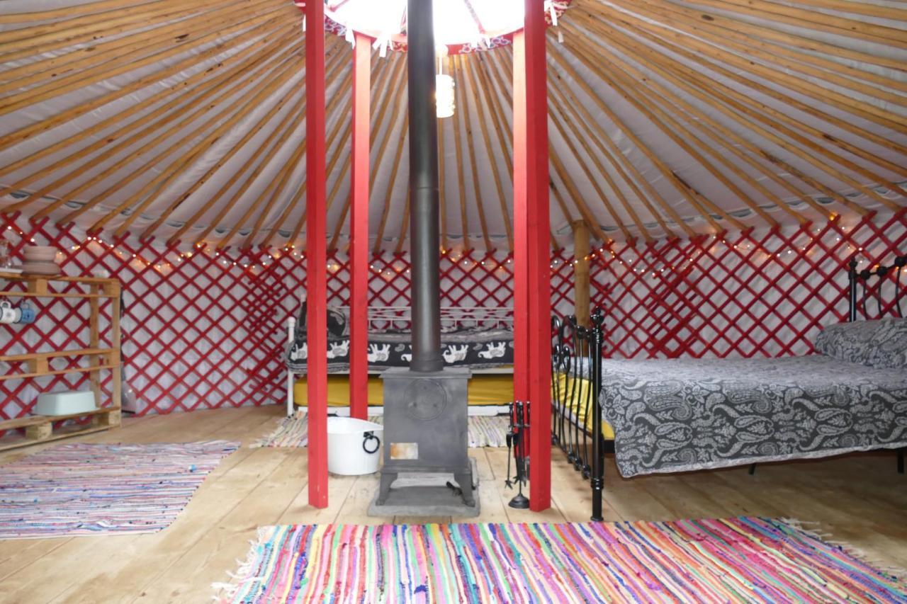 Alder Yurt Wych Elm Glamping Hotel Helston Ngoại thất bức ảnh
