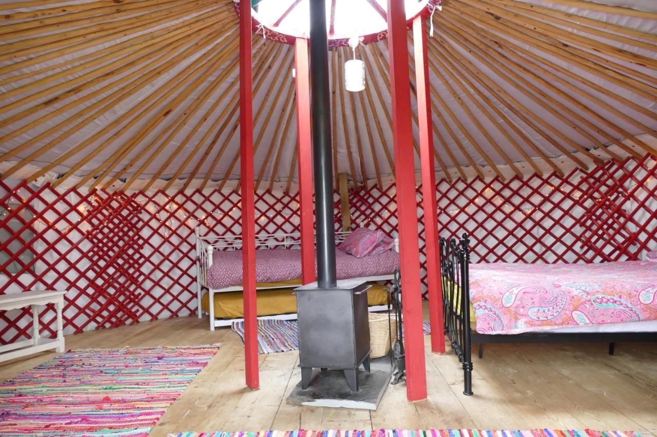 Alder Yurt Wych Elm Glamping Hotel Helston Ngoại thất bức ảnh