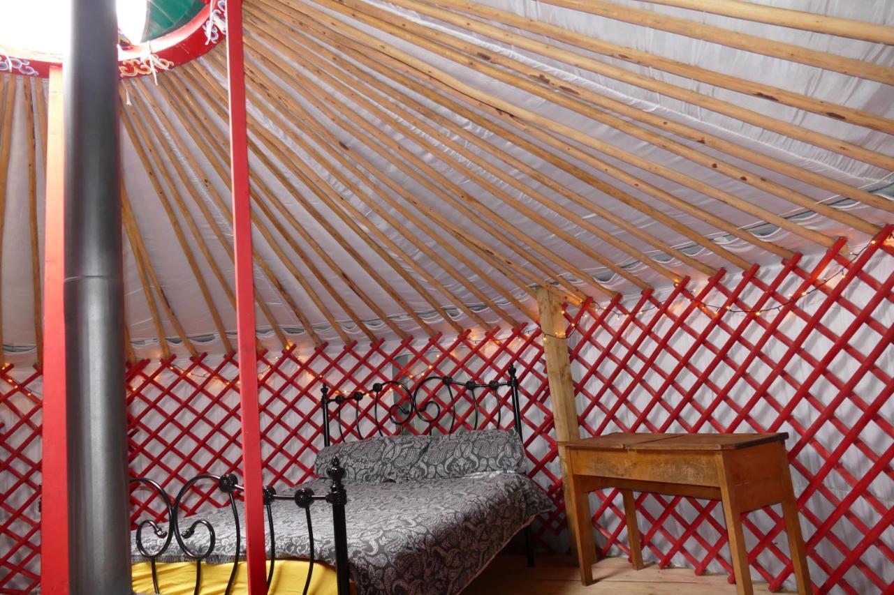 Alder Yurt Wych Elm Glamping Hotel Helston Ngoại thất bức ảnh